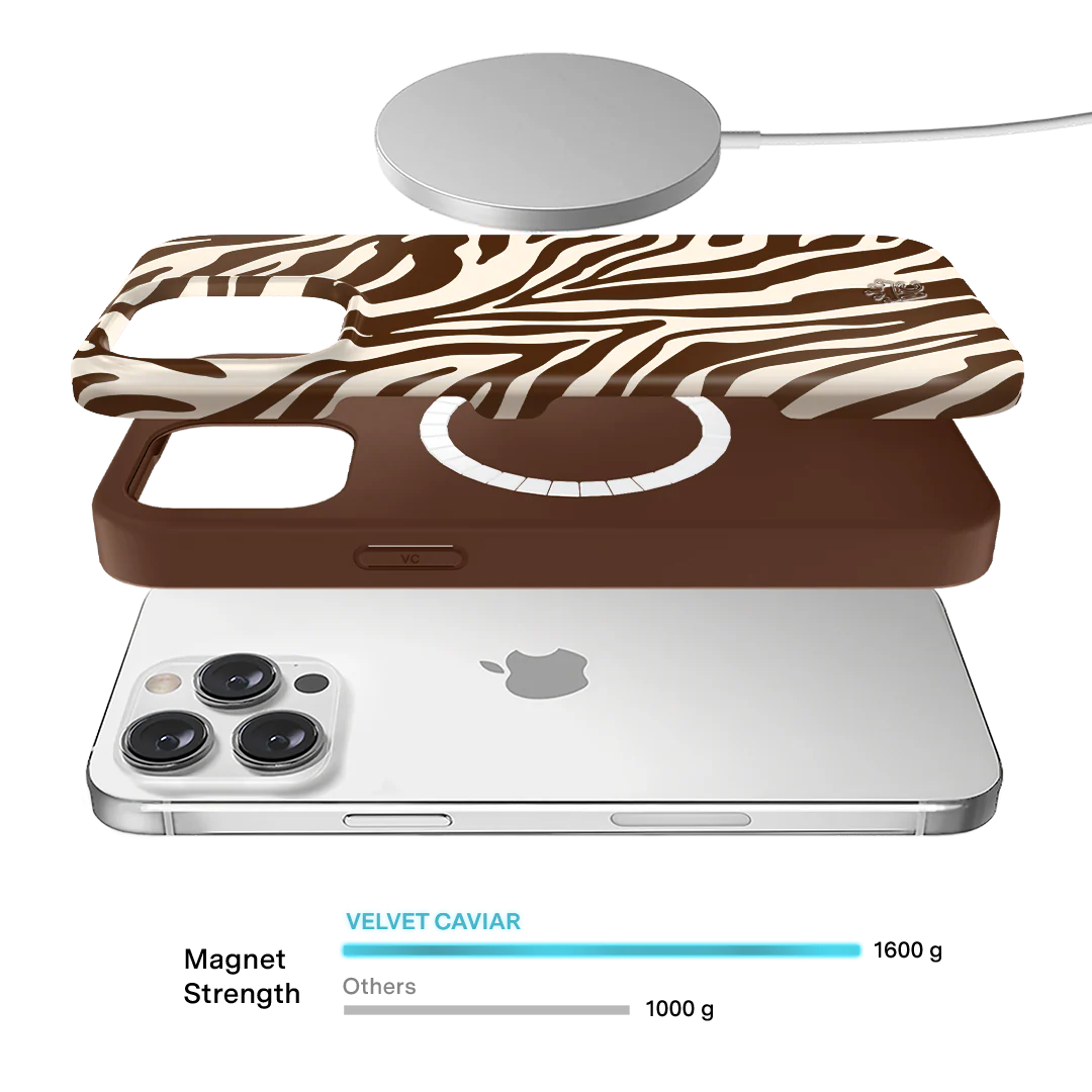Coco Zebra iPhone Case - Image 53